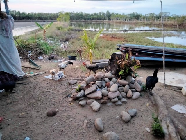 IMG20250831184319.jpg