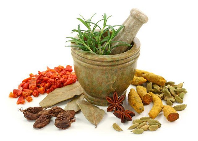 Herbal Supplements and Remedies.jpg