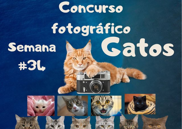 concurso fotografico #5 (14).jpg