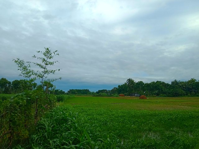 IMG_20250602_222345.jpg