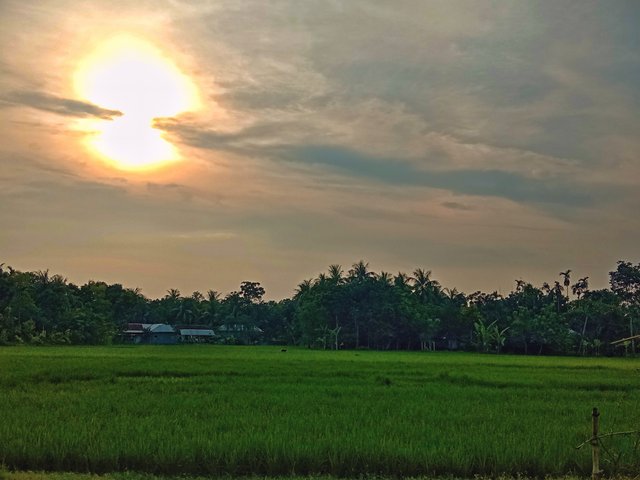 IMG_20250923_075100.jpg