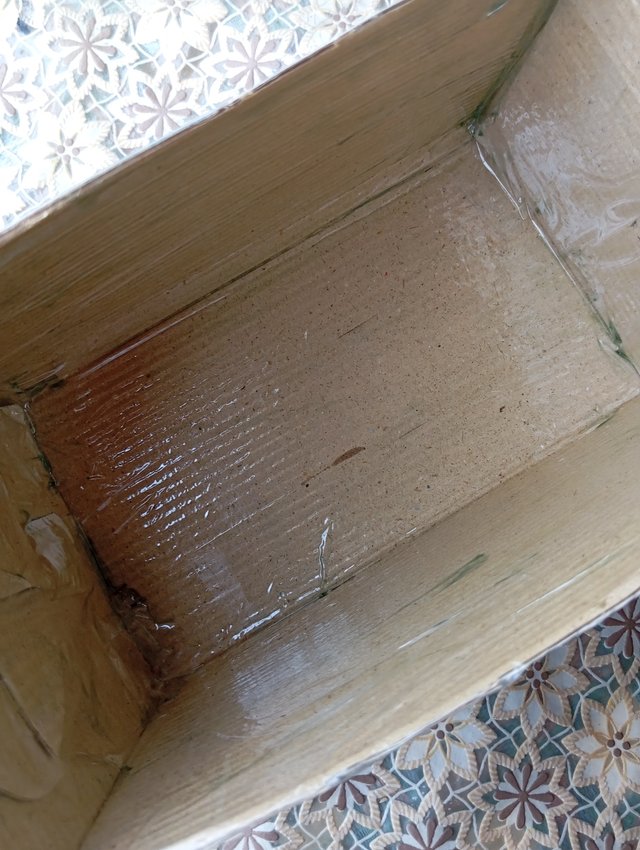 1000105005.jpg