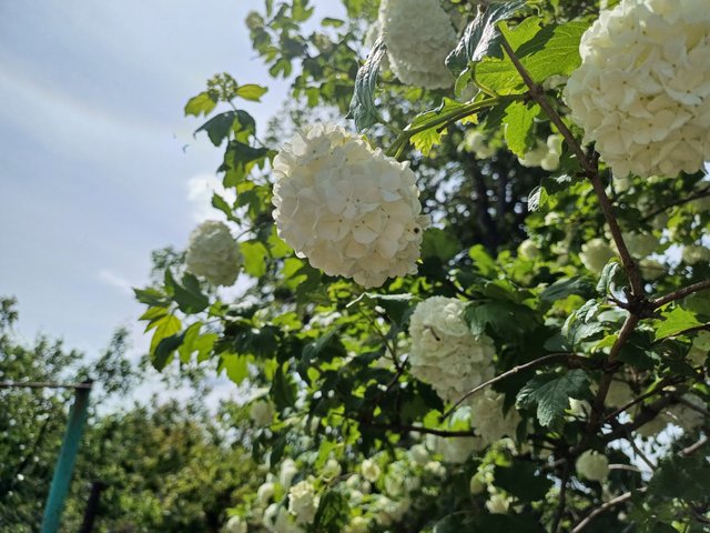 20250510_105707.jpg