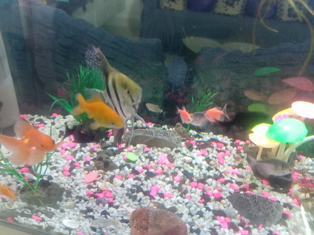 IMG20250610095827.jpg