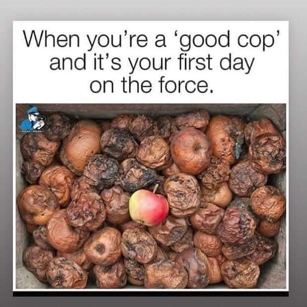 good-police-bad-apples.jpg