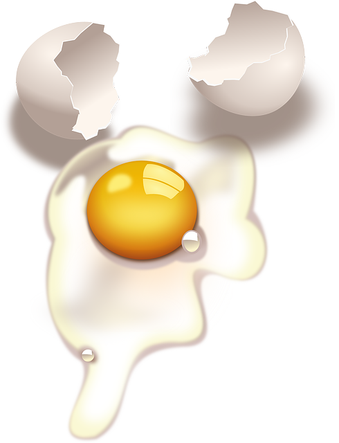 egg-32115_640.png
