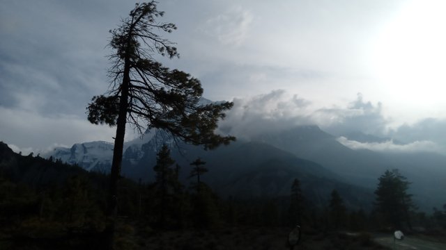 20250503_164211.jpg