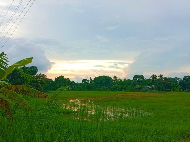 IMG_20250710_214838.jpg