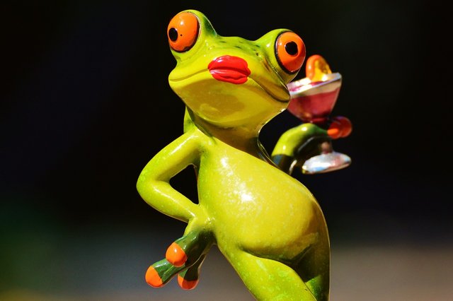 frog-881655_1280.jpg