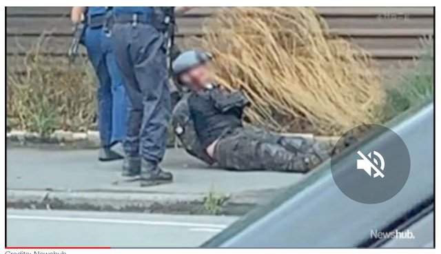 FireShot Screen Capture #343 - ''Hell of a coincidence'_ Officers who _' - www_newshub_co_nz_home_new-zealand_2019_03_hell-of-a-coincidence-officers-.jpg