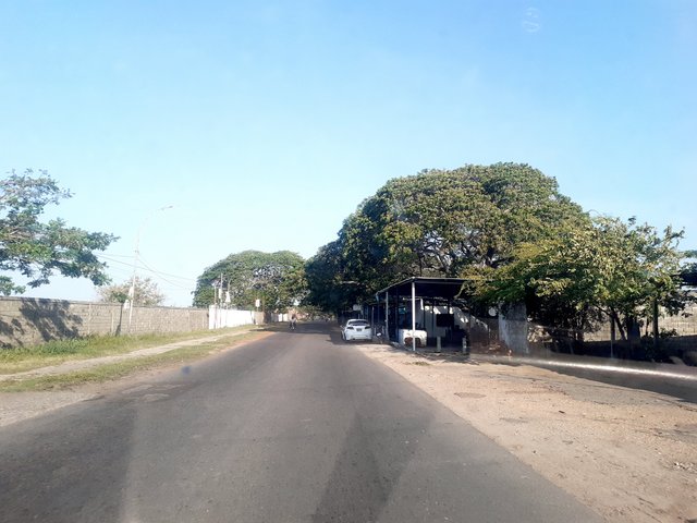 20250323_080110.jpg