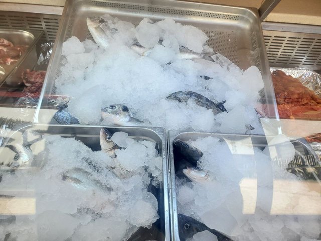 les poissons.jpeg