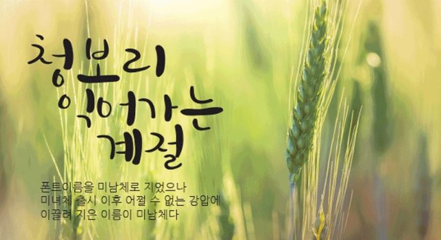 2021-04-27 09 05 44.jpg