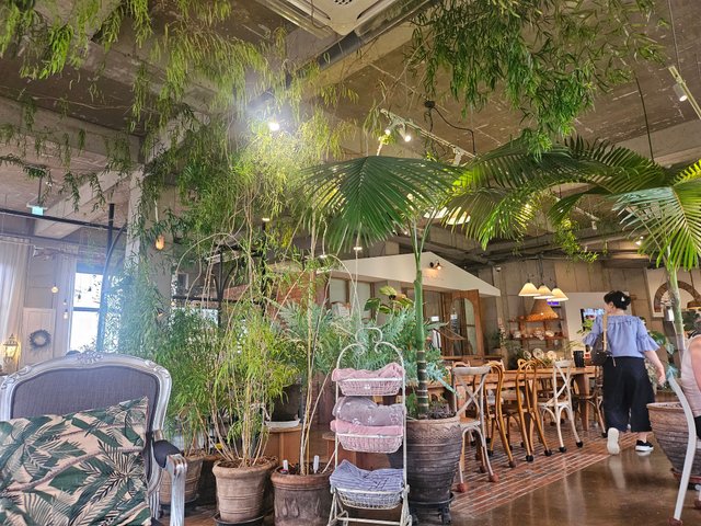 20250913_144231.jpg