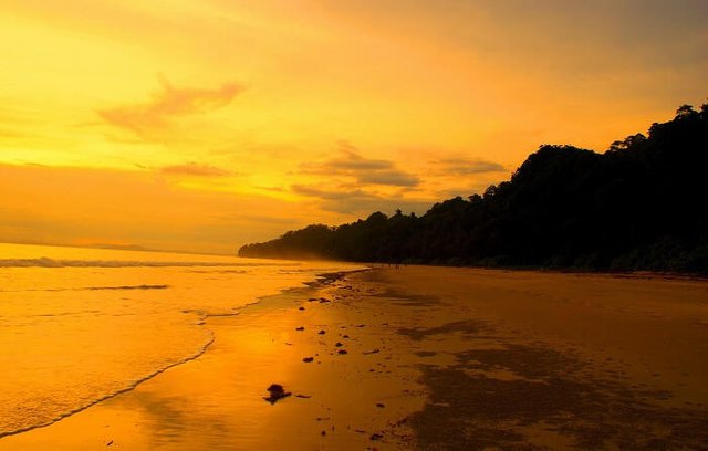 Radhanagar-beach-during-sunsetA-beautiful-looking-Radhanagar-Beach-on-Havelock-Islandduring-sunset.jpg