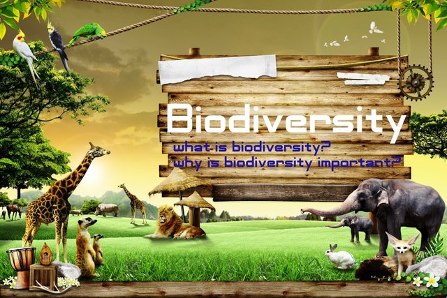 biodiversity(1)-1.jpg