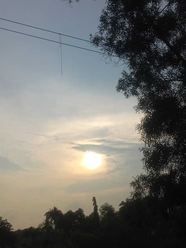 IMG20250801174344.jpg