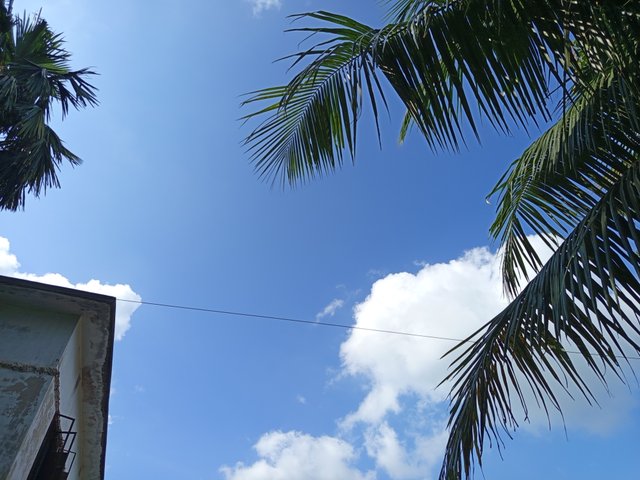 নেচার (4).jpg