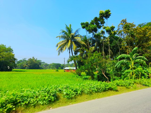 20221028_120621.jpg