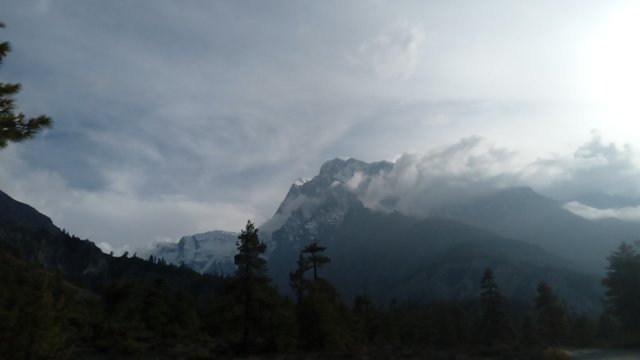 20250503_164229.jpg