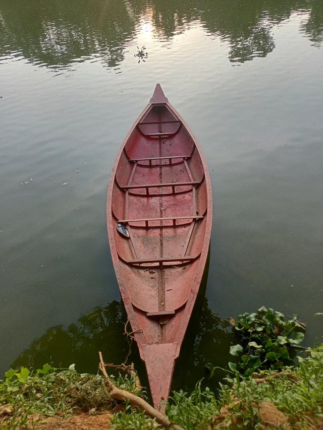 IMG20250712175918.jpg