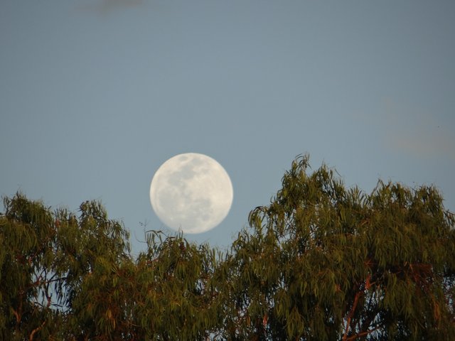 DSC07488.JPG