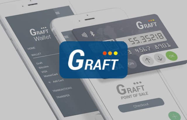 Graft-Network-696x449.jpg