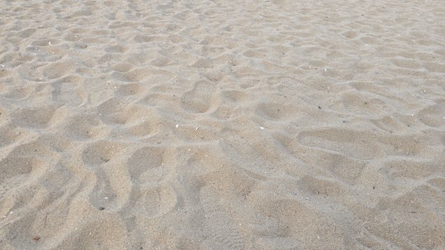 1000126492.jpg