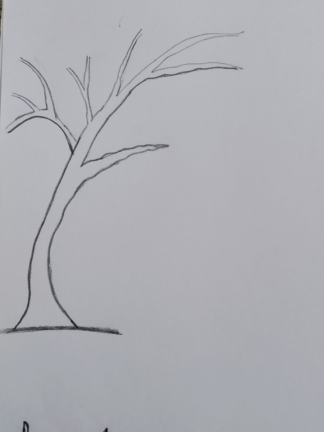 1000082443.jpg