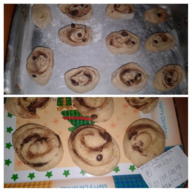 IMG_20250831_230130-COLLAGE.jpg