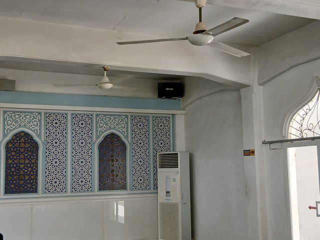 20250428_142922.jpg