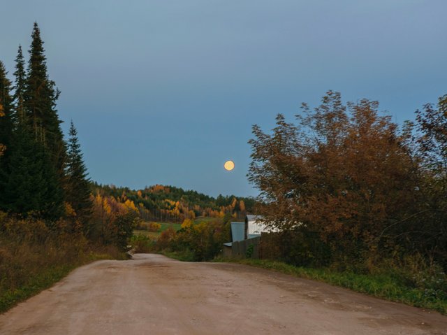 20251010_3.jpg