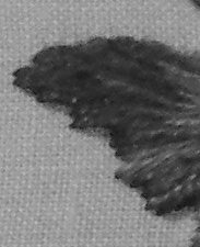 emb butterfly grey detail.jpg