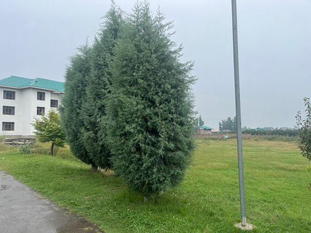 IMG_4283.jpeg