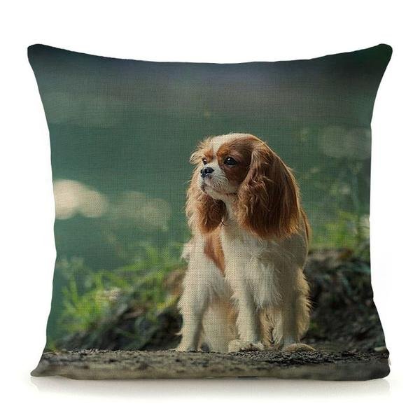 cavalier-king-charles-spaniel-cushion-covers-selection-b-6.jpg