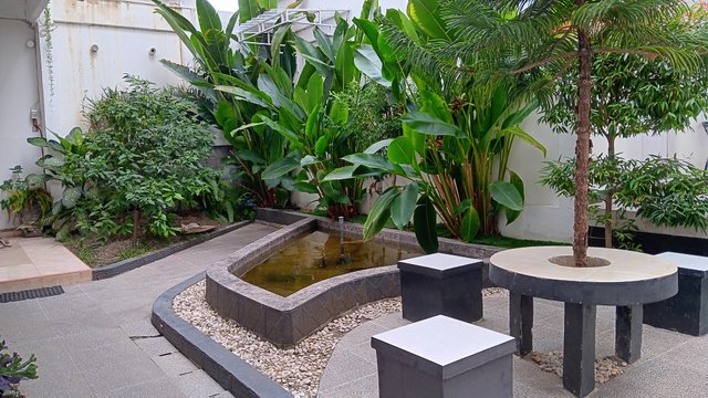 20250607_114235.jpg