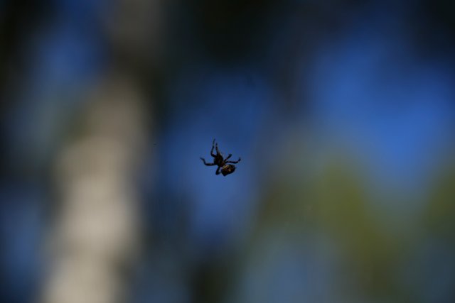DSC03816.jpg
