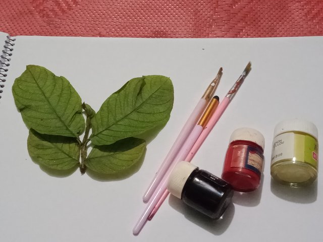IMG20250718184923.jpg