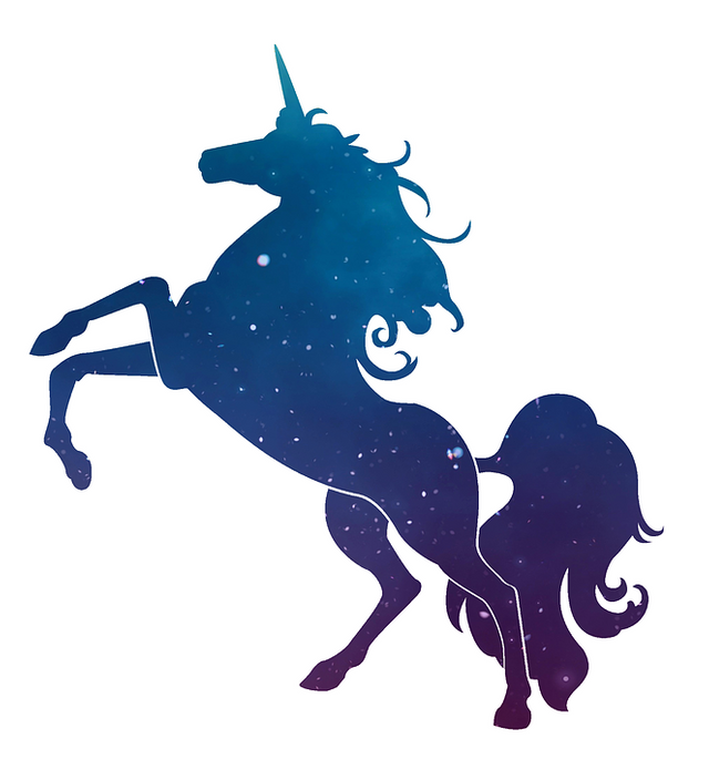 unicorn-2035174_960_720.png