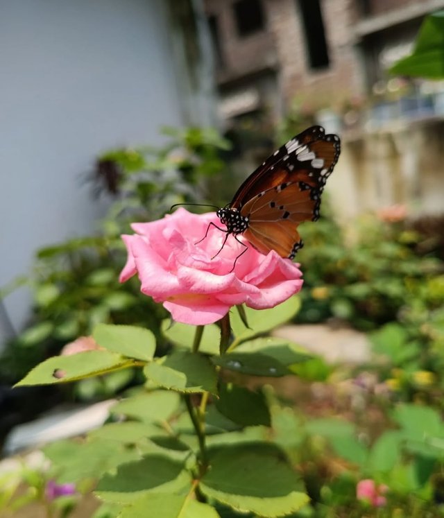 IMG_20250829_215929.jpg
