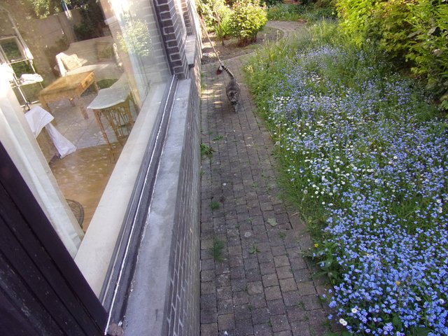 100_2616.JPG