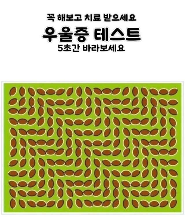 1000062484.jpg