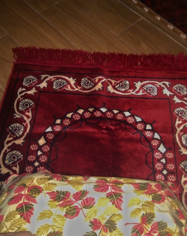 IMG_20250206_230857.jpg