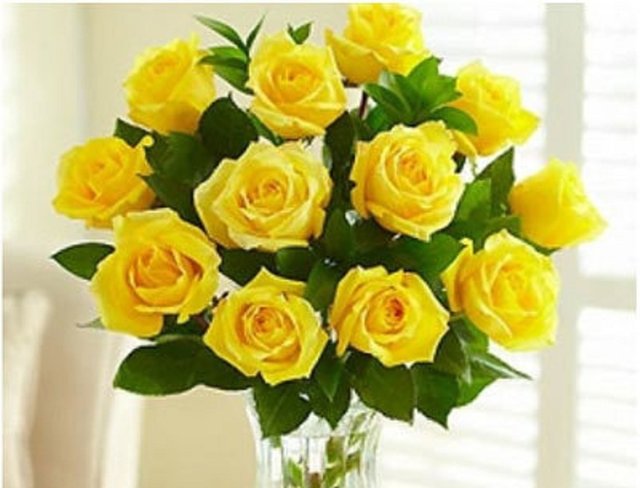 yellow-roses.jpg