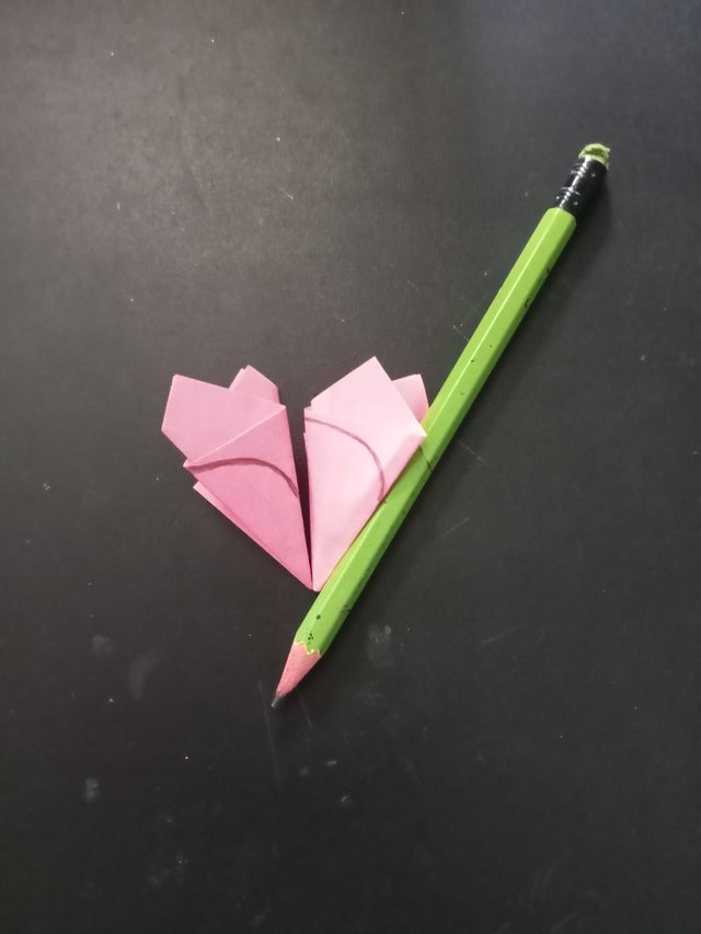 1000028126.jpg