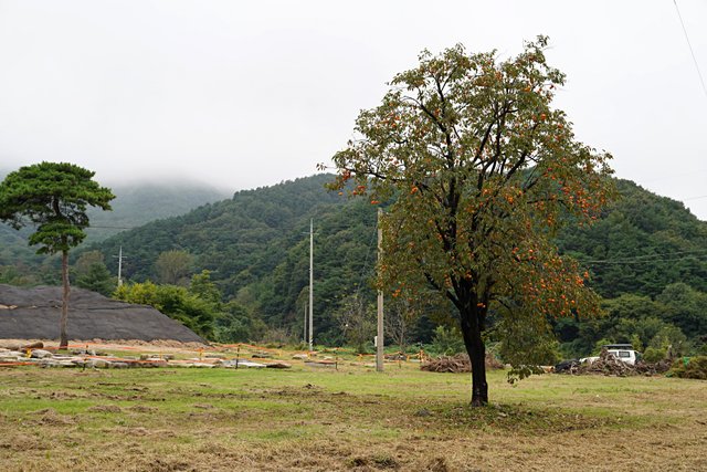 b-DSC05007.JPG