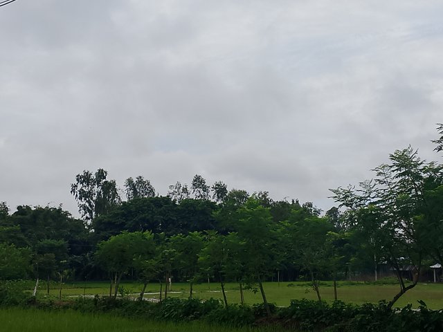 1000047402.jpg