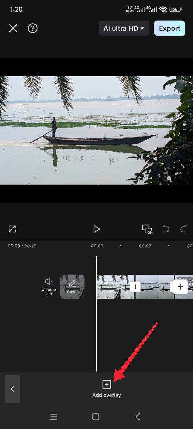 1000048760.jpg