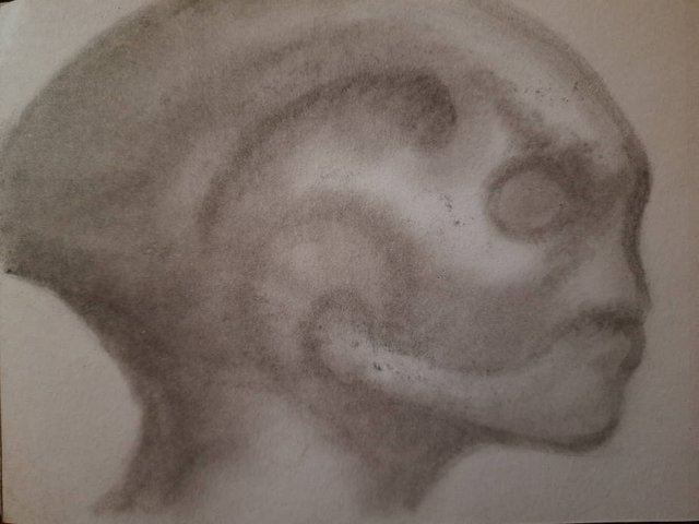 20250425_104328.jpg
