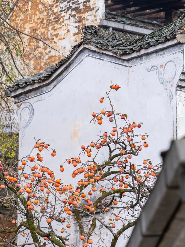 比起景德镇，我更爱国家地理推荐的这座小城_4_饭饭旅行日记_来自小红书网页版.jpg